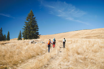 Chemin de randonné
